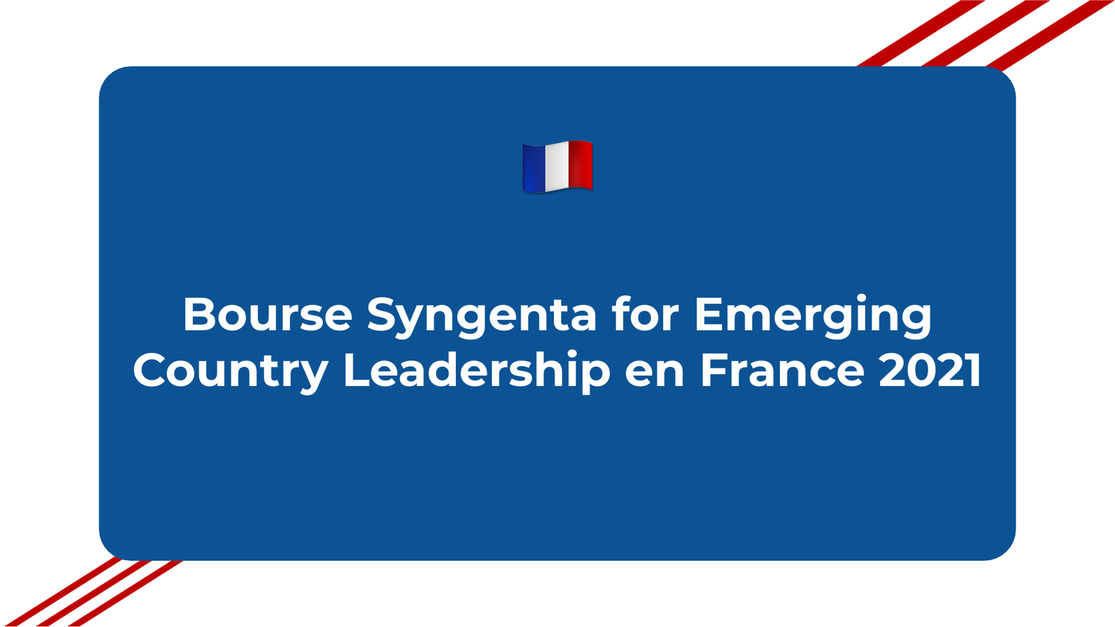 Bourse Syngenta for Emerging Country Leadership